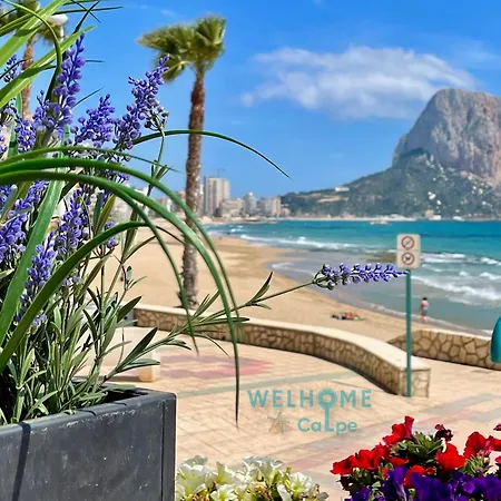Manzana Bonito Y Comodo Con Piscina Appartement *